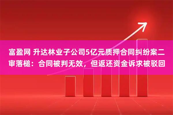 富盈网 升达林业子公司5亿元质押合同纠纷案二审落槌：合同被判无效，但返还资金诉求被驳回