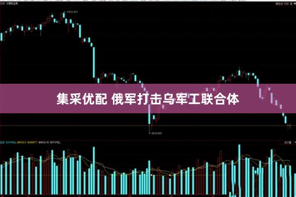 集采优配 俄军打击乌军工联合体